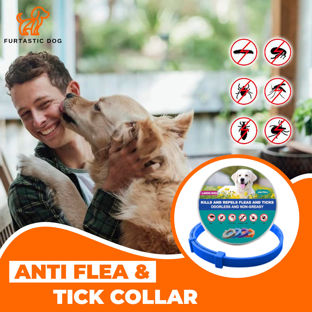 FleaShield Anti Flea And Tick Collar FURTASTIC DOG