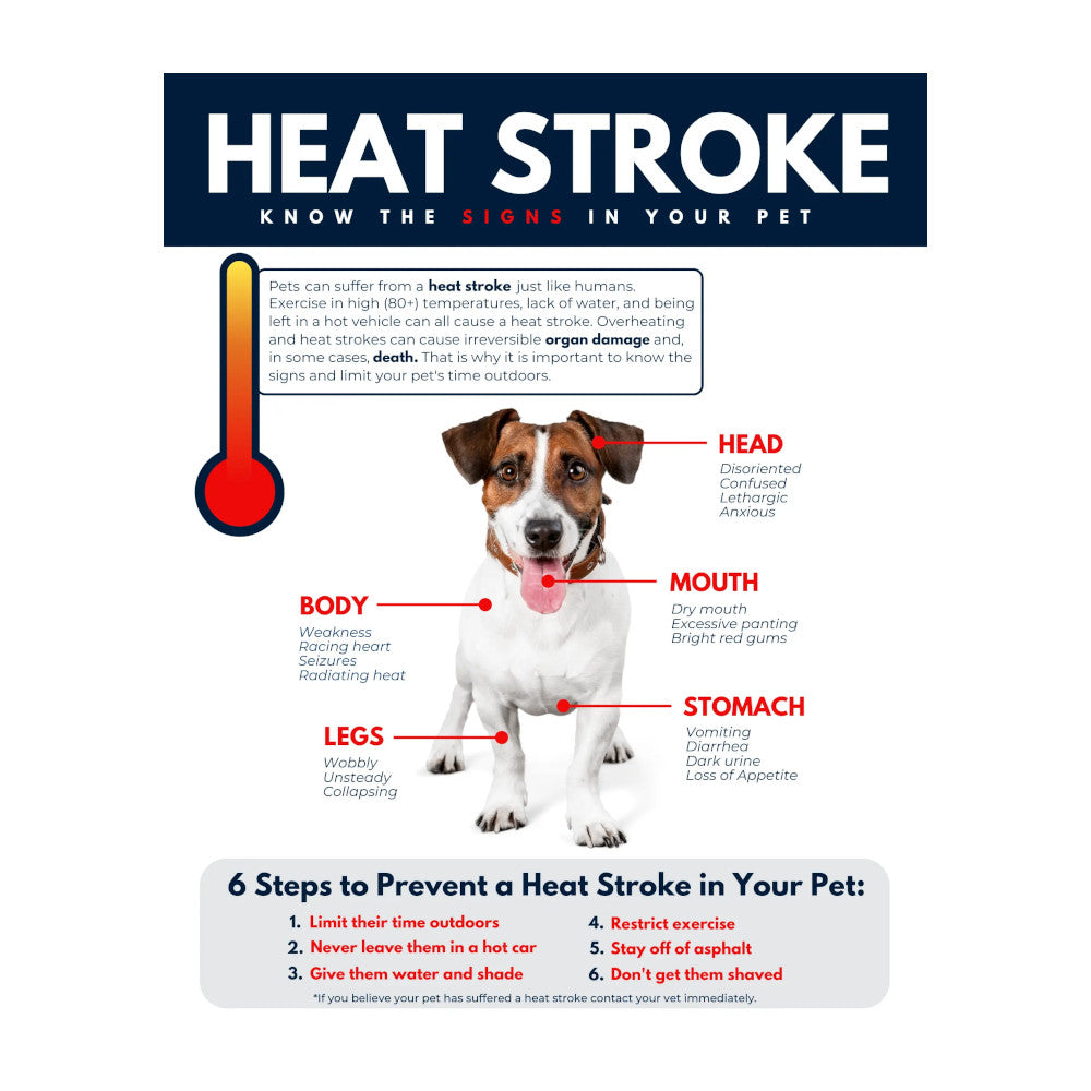 AquaPup™ - Dog Sprinkler Pad