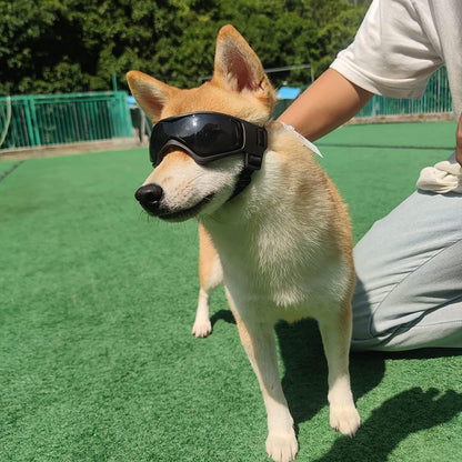 Adjustable UV Protection Puppy Sunglasses - FURTASTIC DOG