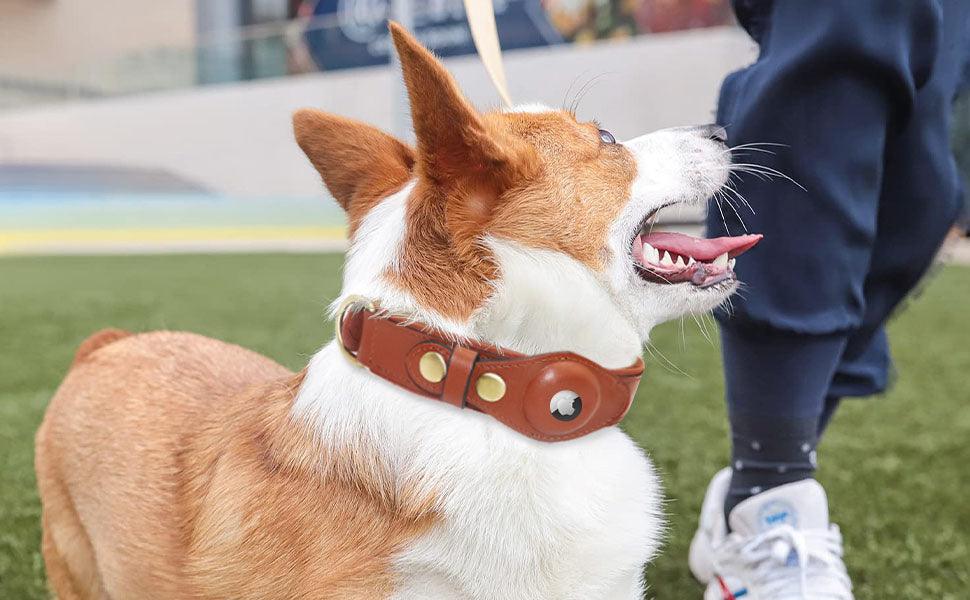 Furtastic Dog Genuine Leather Airtag Collar - FURTASTIC DOG