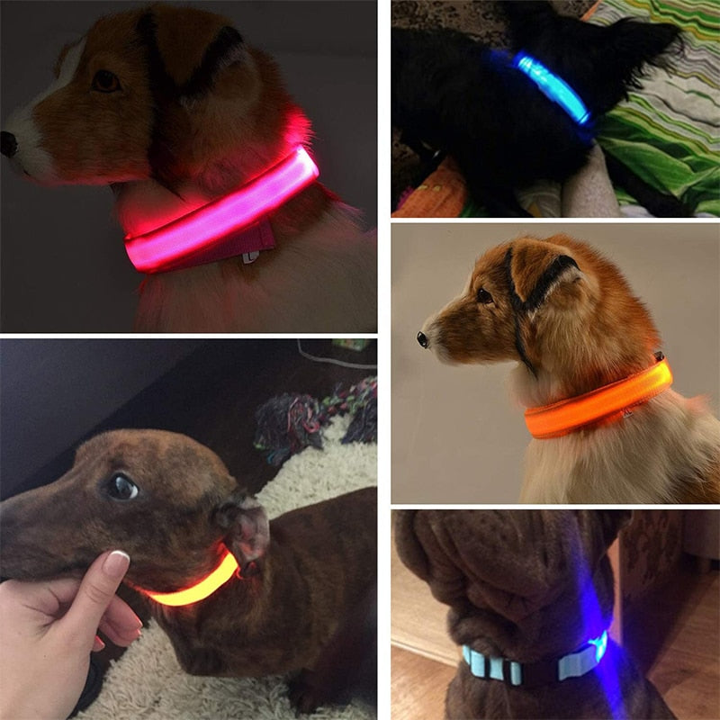 Adjustable LED Glowing Pet Collar - FURTASTIC DOG